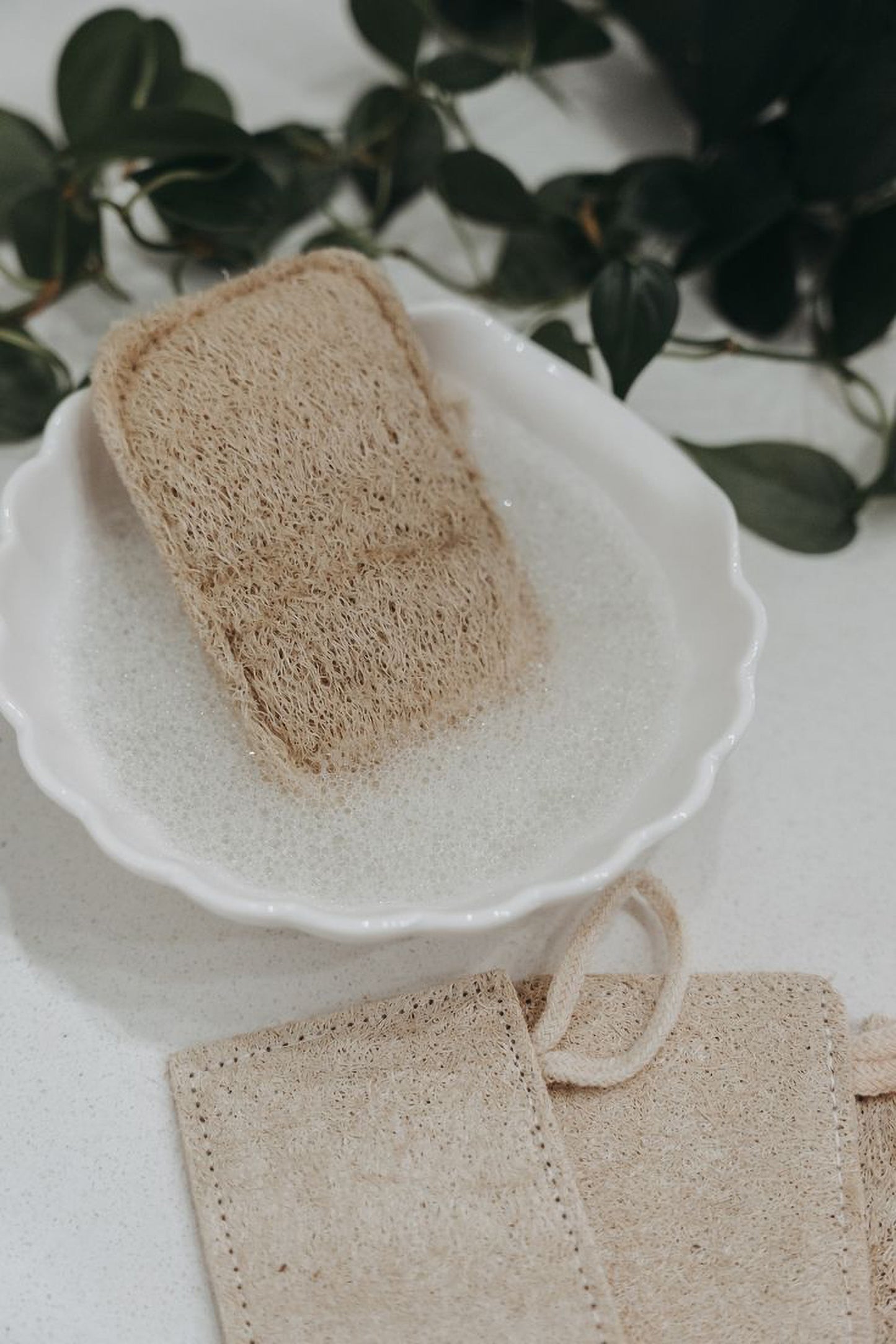 Éponges à Vaisselle Luffa Biodégradable