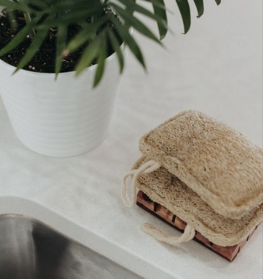 Biodegradable Loofah Dishwashing Sponges