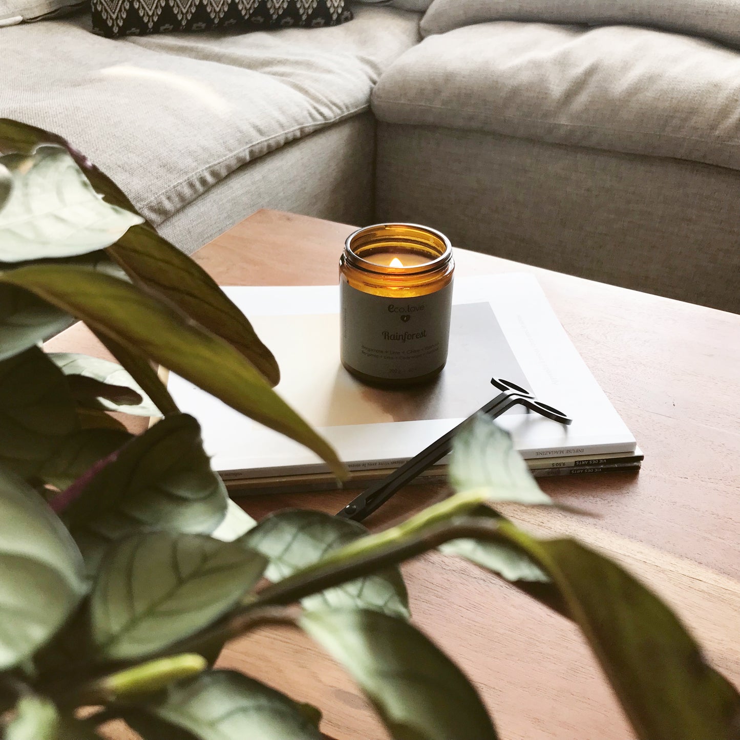 Bougie RAINFOREST — Bergamote + Lime + Cèdre + Patchouli