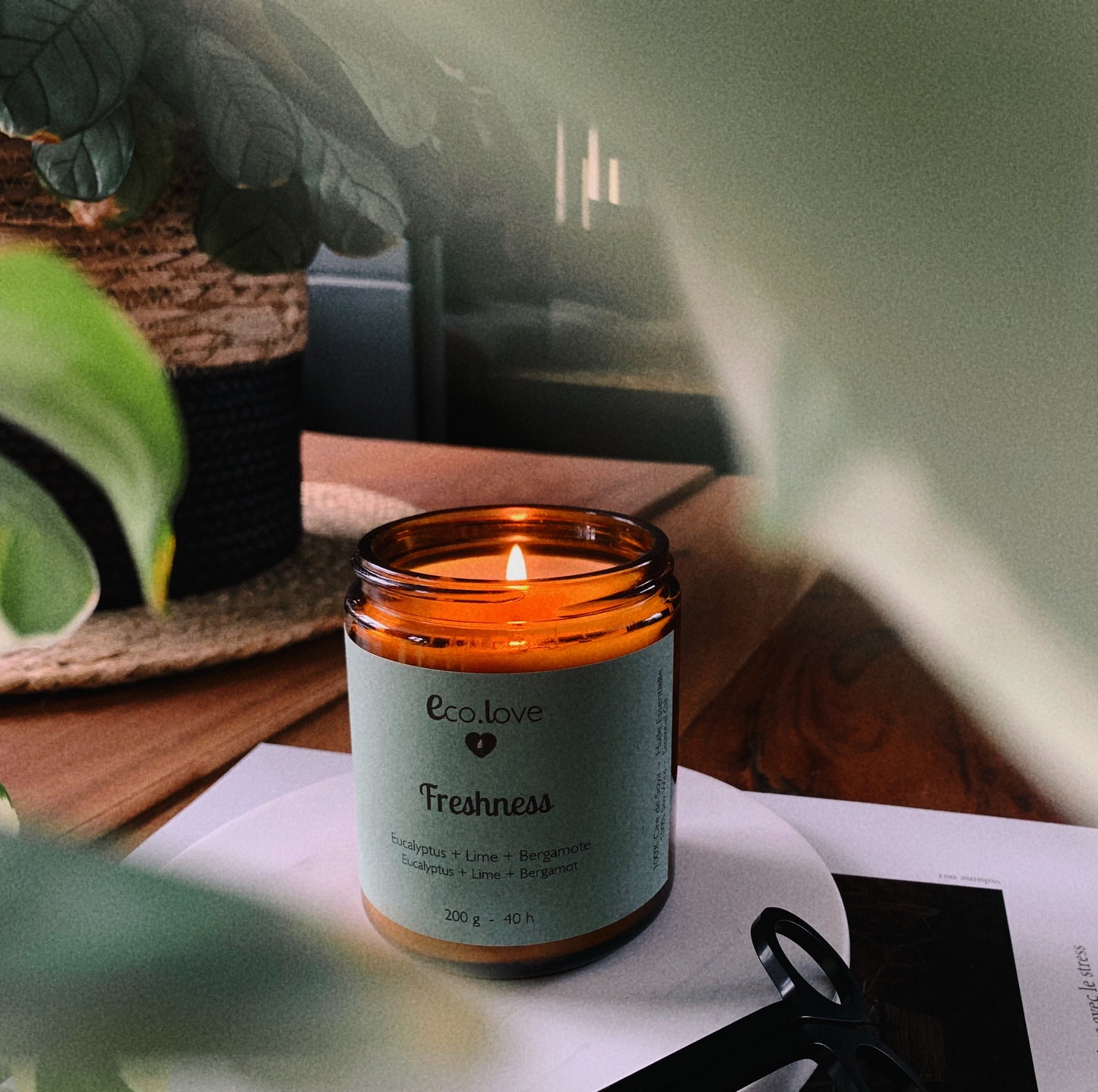 FRESHNESS Candle - Eucalyptus + Lime + Bergamot
