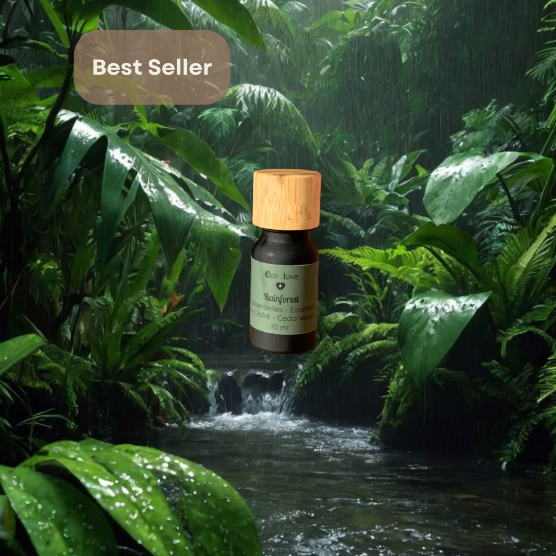 Huile Essentielle RAINFOREST 〰️ Bergamote + Lime + Cèdre + Patchouli