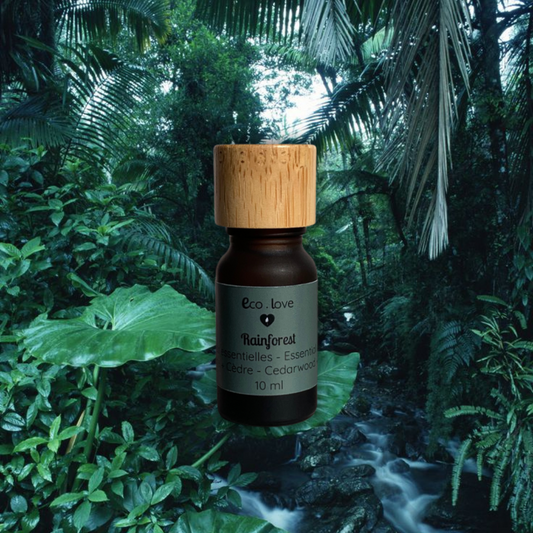 Huile Essentielle RAINFOREST - Bergamote + Lime + Cèdre + Patchouli