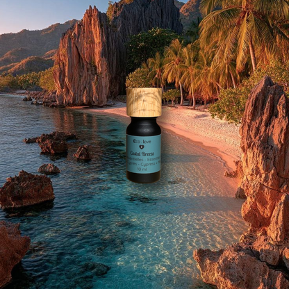 Huile Essentielle COSTAL BREEZE - Sapin + Cyprès + Eucalyptus + Menthe Verte + Romarin + Citron