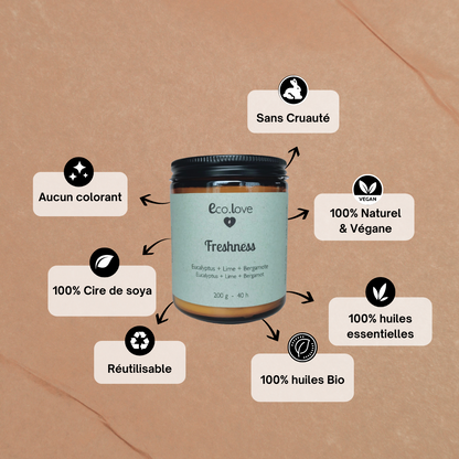 FRESHNESS Candle - Eucalyptus + Lime + Bergamot