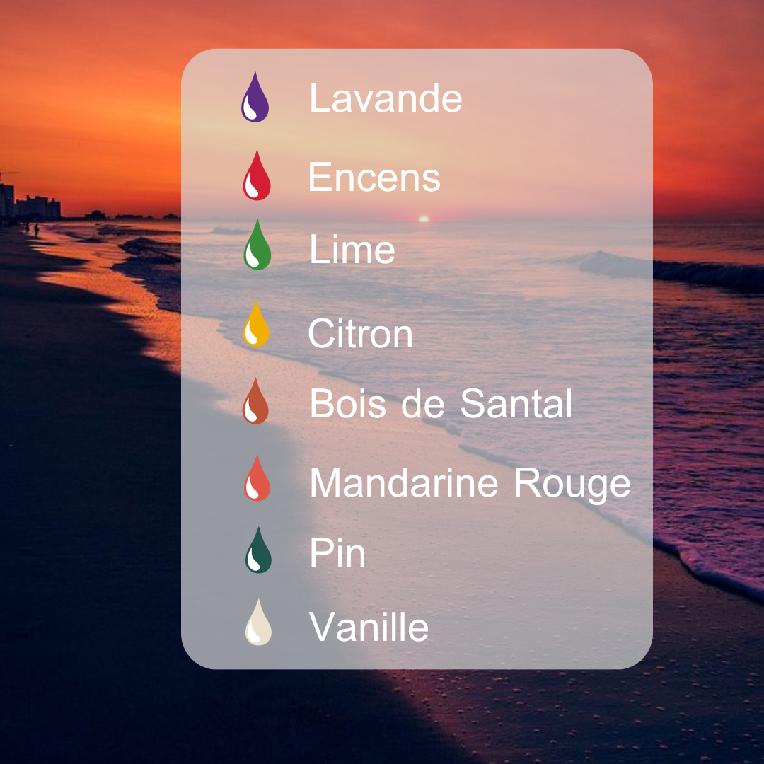 Huile de Bain EXOTIC DREAMS - Lavande + Encens + Lime + Citron + Bois de Santal + Mandarine Rouge + Pin + Vanille