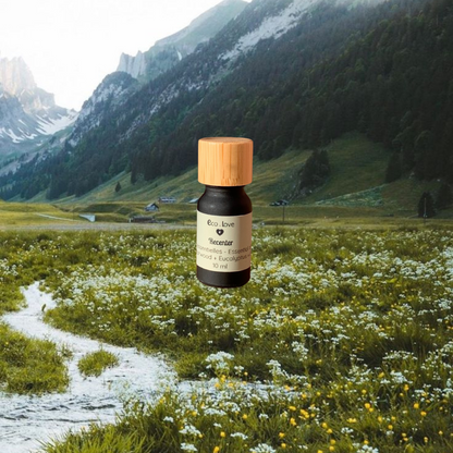 RECENT Essential Oil - Cedar + Rosemary + Eucalyptus + Geranium