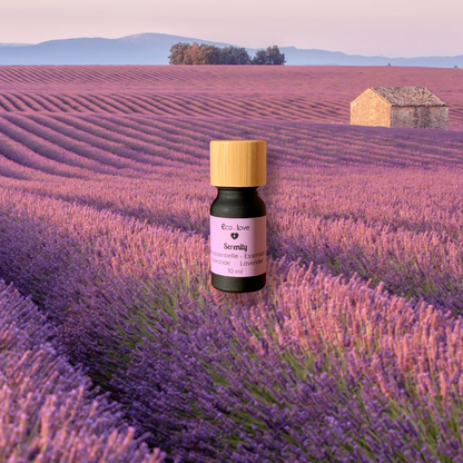 SERENITY Essential Oil - Lavender