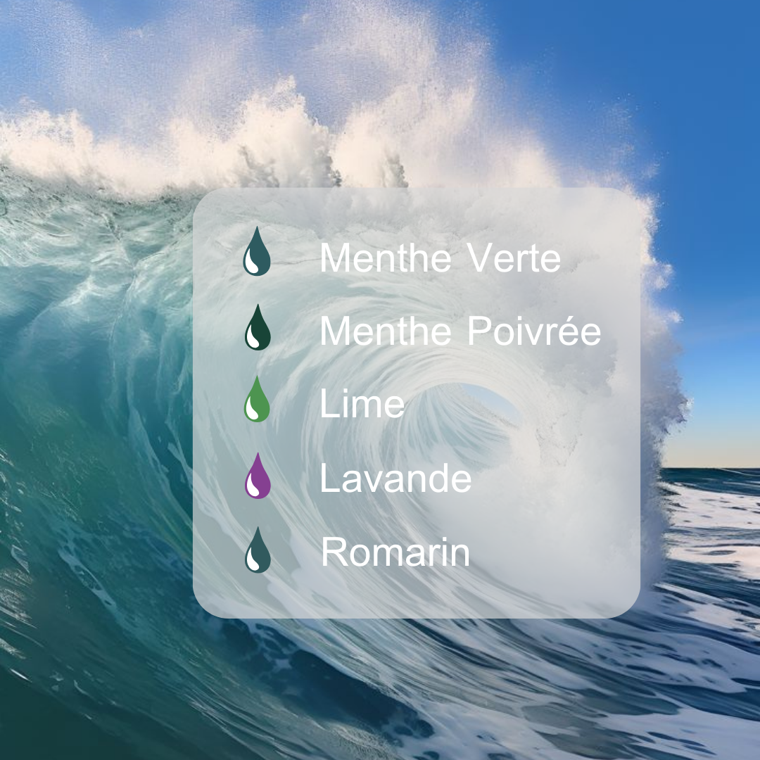 Huile Essentielle OCEAN MIST - Menthe Verte + Menthe Poivrée + Lime + Lavande + Romarin