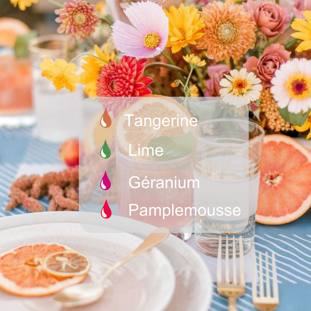 Bougie SUMMER DAZE - Tangerine + Lime + Géranium + Pampleousse